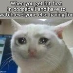 This was painful | When you get hit first in dodgeball and have to watch everyone else having fun | image tagged in crying cat,funny,memes,meme,funny memes,relatable | made w/ Imgflip meme maker