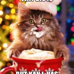 Kat lykes | I DONT NO WAT DIS IS; BUT KAN I  HAS FOR MEELZ EVREE DAI | image tagged in christmas-cat,cat,happy,good | made w/ Imgflip meme maker