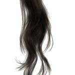 Mechón de pelos negros