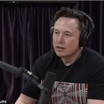 Elon support