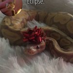 Eclipse. festive temp (ty corpse) template