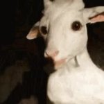 goat GIF Template