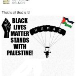 blm stands with palestine meme