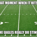 football field  | THAT MOMENT WHEN IT HITS.. THE EAGLES REALLY DO STINK! | image tagged in football field | made w/ Imgflip meme maker