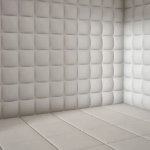 padded room asylum
