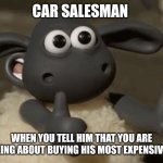 Make me a very rich man | CAR SALESMAN; WHEN YOU TELL HIM THAT YOU ARE THINKING ABOUT BUYING HIS MOST EXPENSIVE CAR | image tagged in thumbs up sheep,cars | made w/ Imgflip meme maker