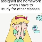 Star Butterfly Severe Facepalm | Me after my teacher assigned me homework when I have to study for other classes: | image tagged in star butterfly severe facepalm | made w/ Imgflip meme maker