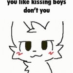 you like kissing boys don't you