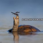 smiling turtle | I CAN SEE YOUR JUNK | image tagged in smiling turtle | made w/ Imgflip meme maker
