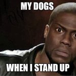 Kevin Hart | MY DOGS; WHEN I STAND UP | image tagged in memes,kevin hart,dogs | made w/ Imgflip meme maker