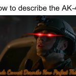 The best full auto rifle in my opinion! | How to describe the AK-47! | image tagged in words cannot describe how perfect this is,guns,military,ak47,gun,memes | made w/ Imgflip meme maker