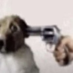 Dorg meme