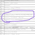 Trump Epstein flight log