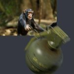 Monkey throwing grenade