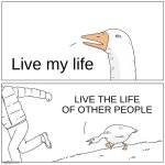 life | Live my life; LIVE THE LIFE OF OTHER PEOPLE | image tagged in goose chase | made w/ Imgflip meme maker