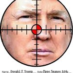 Donald Trump shooting target bullseye JPP