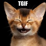 tgif_cat | TGIF | image tagged in happy_cat,yay it's friday | made w/ Imgflip meme maker