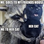 I love her cat so much (also subscribe to her cats yt channel @ZeldaTheHairlessCat) | ME: GOES TO MY FRIENDS HOUSE; HER CAT; ME TO HER CAT | image tagged in raccoon hug cat,memes,cats,pets | made w/ Imgflip meme maker