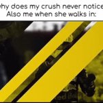 me fr | Me: why does my crush never notice me?
Also me when she walks in: | image tagged in gifs,so true memes,dive | made w/ Imgflip video-to-gif maker