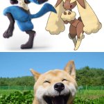 Happy dog loves Lucario and Lopunny as a couple | image tagged in happy dog | made w/ Imgflip meme maker