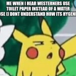 Im indian btw | ME WHEN I HEAR WESTERNERS USE TOILET PAPER INSTEAD OF A WATER HOSE (I DONT UNDERSTAND HOW ITS HYGENIC) | image tagged in pikachu bruh face,fun | made w/ Imgflip meme maker