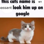 this cats name is x look him up on google | en; passant | image tagged in this cats name is x look him up on google | made w/ Imgflip meme maker