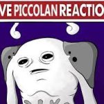 Live Piccolan Reaction