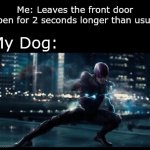 Use food to lure them back | Me: Leaves the front door open for 2 seconds longer than usual; My Dog: | image tagged in gifs,funny,memes,fun | made w/ Imgflip video-to-gif maker