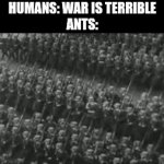 Small but vicious | HUMANS: WAR IS TERRIBLE
ANTS: | image tagged in gifs,memes,funny,ants,war | made w/ Imgflip video-to-gif maker