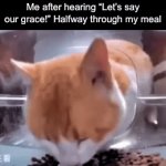 Wait… you said Grace? | Me after hearing “Let’s say our grace!” Halfway through my meal | image tagged in gifs,christian,kitty,food | made w/ Imgflip video-to-gif maker