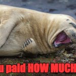 How Much? | You paid HOW MUCH!?! | image tagged in laugh | made w/ Imgflip meme maker