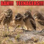 Teenagers! | BAH!!!   TEENAGERS!!! | image tagged in teenagers | made w/ Imgflip meme maker