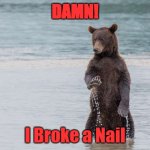Dagnabit! | DAMN! I Broke a Nail | image tagged in bear | made w/ Imgflip meme maker