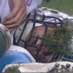 Stafford Grass Face