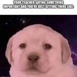 puppy close up | YOUR TEACHER SAYING SOMETHING IMPORTANT AND YOU'RE JUST SITTING THERE LIKE: | image tagged in puppy close up | made w/ Imgflip meme maker