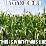 Cornhub | I WENT TO CORNHUB; THIS IS WHAT IT WAS LIKE | image tagged in cornfield | made w/ Imgflip meme maker