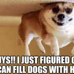 helium dog | GUYS!! I JUST FIGURED OUT YOU CAN FILL DOGS WITH HELIUM | image tagged in helium dog | made w/ Imgflip meme maker