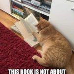 Cat Reading | DON'T WORRY HUMAN; THIS BOOK IS NOT ABOUT CATS TAKING OVER THE WORLD | image tagged in book cat,cat memes | made w/ Imgflip meme maker