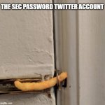 You know why The Sec Twitter account is hacked | THE SEC PASSWORD TWITTER ACCOUNT | image tagged in memes,funny memes,cryptocurrency,crypto,cryptography | made w/ Imgflip meme maker