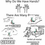 This Lil Bean Is Adorable! | SLUGCAT; SLUGCAT; MONY; SLUGCAT; SLUGCAT | image tagged in why do we have hands,memes | made w/ Imgflip meme maker
