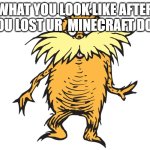 this you? | WHAT YOU LOOK LIKE AFTER YOU LOST UR  MINECRAFT DOG | image tagged in lorax,fun,the lorax,minecraft | made w/ Imgflip meme maker