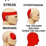 The teacher gets so stressed... it's not like we have to do that every day | THE TEACHER WALKING DOWN THE HALLWAY | image tagged in types of stress,school,teachers,hallway,funny,relatable | made w/ Imgflip meme maker