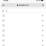 google search history blank