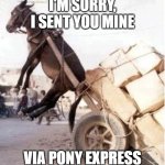 Horse lifted in air | I'M SORRY, I SENT YOU MINE; VIA PONY EXPRESS | image tagged in horse lifted in air | made w/ Imgflip meme maker