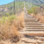 Koko head