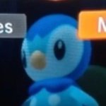 Piplup no meme
