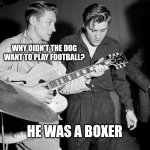 Daddy rabbit memes | WHY DIDN'T THE DOG WANT TO PLAY FOOTBALL? HE WAS A BOXER | image tagged in daddy rabbit memes,elvis,funny,dogs | made w/ Imgflip meme maker