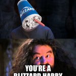 Image Title (help I’m running out of ideas for titles) | YOU’RE A BLIZZARD HARRY | image tagged in you're a wizard harry | made w/ Imgflip meme maker