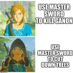 Another Zelda meme | USE MASTER SWORD TO KILL GANON; USE MASTER SWORD TO CUT DOWN TREES | image tagged in link drake hotline bling | made w/ Imgflip meme maker