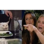 Woman Yelling At Cat Reverse meme